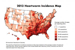 2013-Heartworm-Incidence-Map